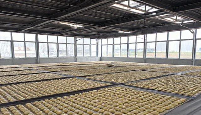 冷链配送适用情况与限制分析